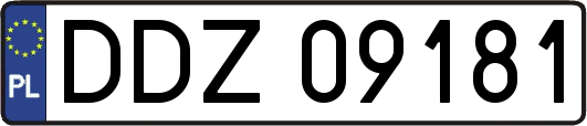 DDZ09181