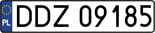 DDZ09185
