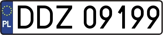 DDZ09199