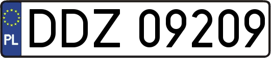 DDZ09209