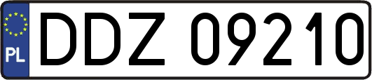 DDZ09210