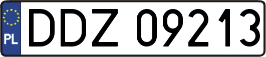 DDZ09213