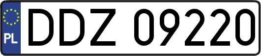 DDZ09220