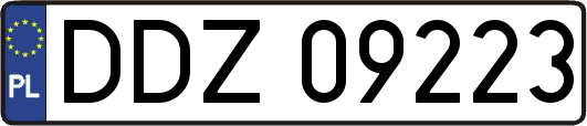 DDZ09223