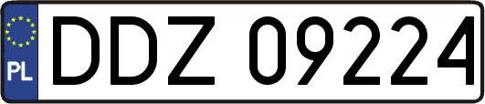 DDZ09224