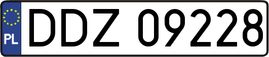 DDZ09228