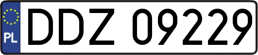 DDZ09229