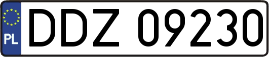DDZ09230