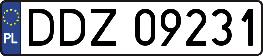 DDZ09231