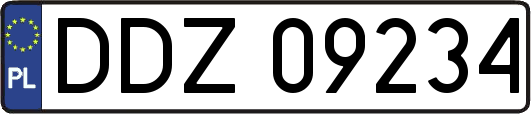 DDZ09234