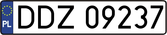DDZ09237