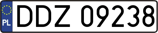 DDZ09238