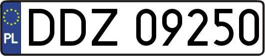 DDZ09250