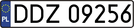 DDZ09256