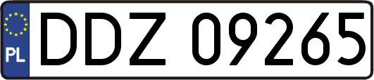 DDZ09265