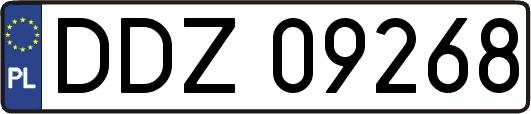 DDZ09268
