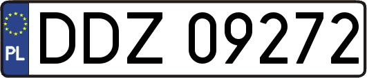 DDZ09272