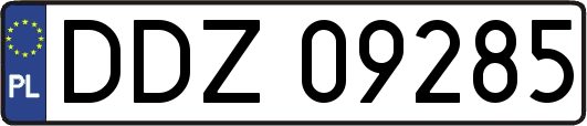 DDZ09285