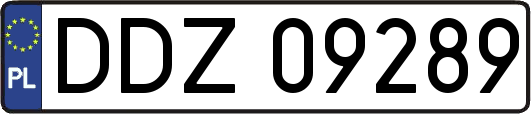 DDZ09289