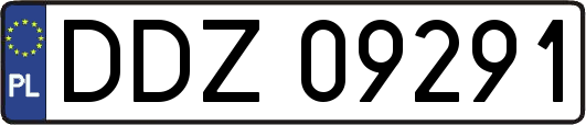 DDZ09291
