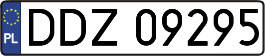 DDZ09295