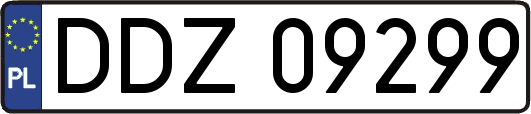 DDZ09299