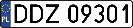 DDZ09301