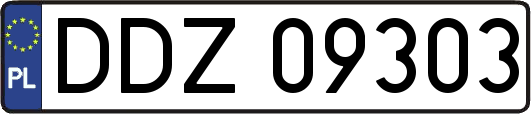 DDZ09303