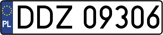 DDZ09306