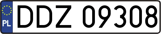 DDZ09308