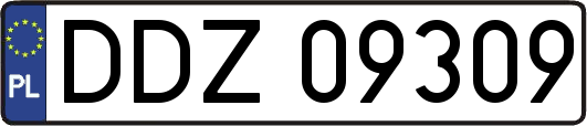 DDZ09309