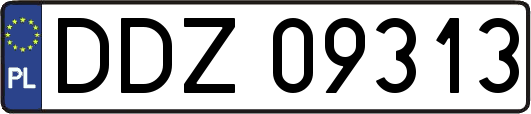 DDZ09313