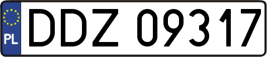 DDZ09317