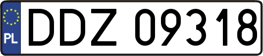 DDZ09318