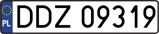 DDZ09319
