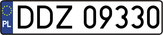 DDZ09330