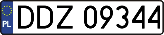 DDZ09344