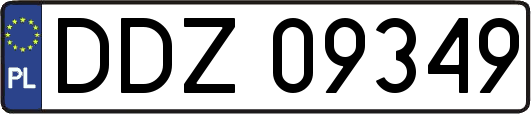 DDZ09349