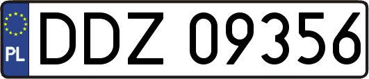 DDZ09356