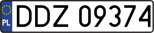 DDZ09374