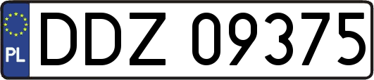 DDZ09375