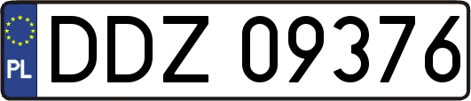 DDZ09376