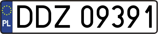 DDZ09391
