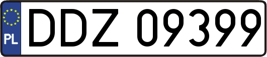DDZ09399