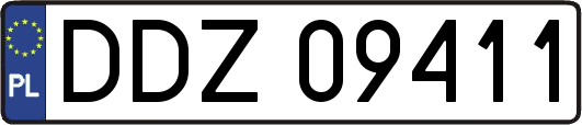 DDZ09411