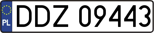 DDZ09443