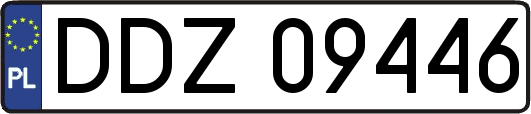 DDZ09446