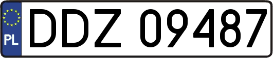 DDZ09487