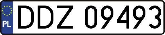 DDZ09493