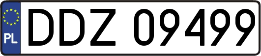DDZ09499
